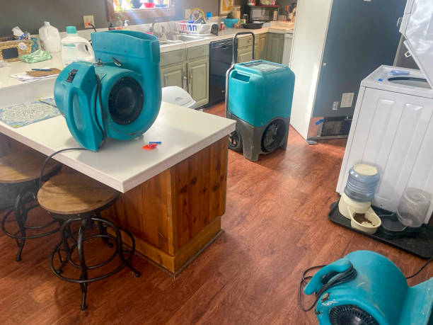 Best Fire Damage Restoration  in Huntington, UT