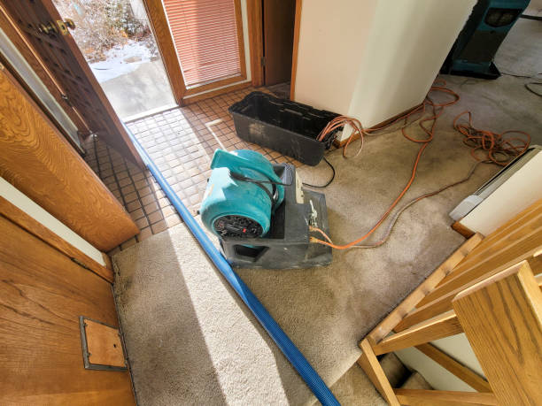 Best Water damage cleanup near me  in Huntington, UT