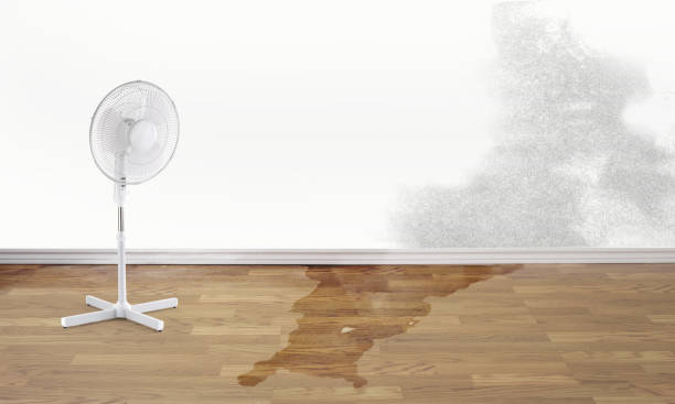 Best Residential water damage restoration  in Huntington, UT