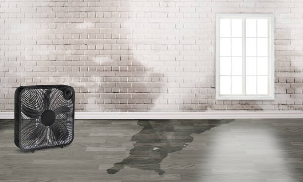 Best Water damage restoration cost  in Huntington, UT
