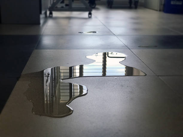 Best Professional water damage repair  in Huntington, UT