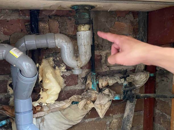 Best Basement water damage restoration  in Huntington, UT